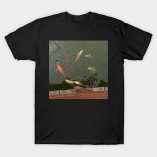 Gosford Gallery Koi T-Shirt